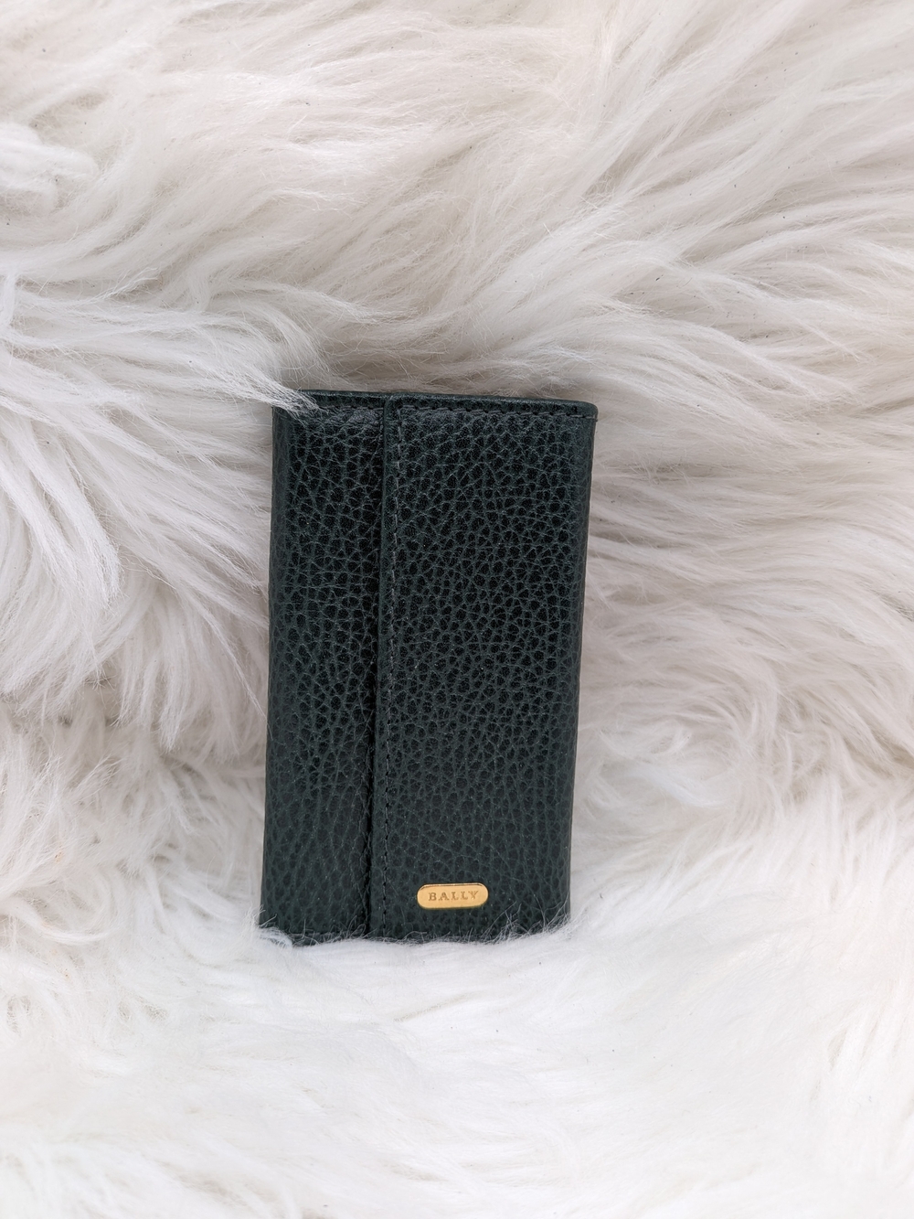Bally Leather Key Case in Green & Black